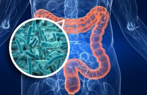 microbiota